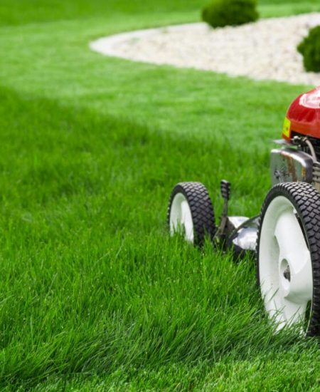 Mowing